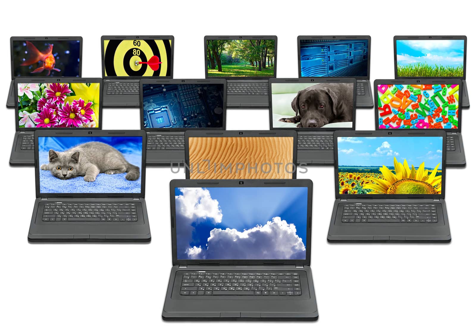 many laptops with different pictures on the screen by Plus69