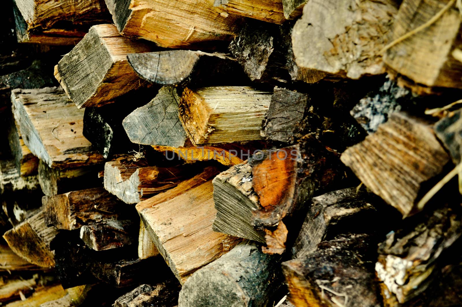 wood pile-2 by RefocusPhoto