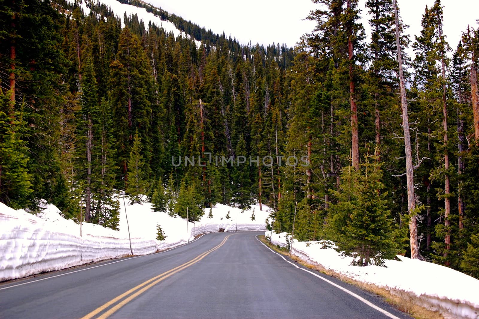 Colorado Mountains-1-78 by RefocusPhoto