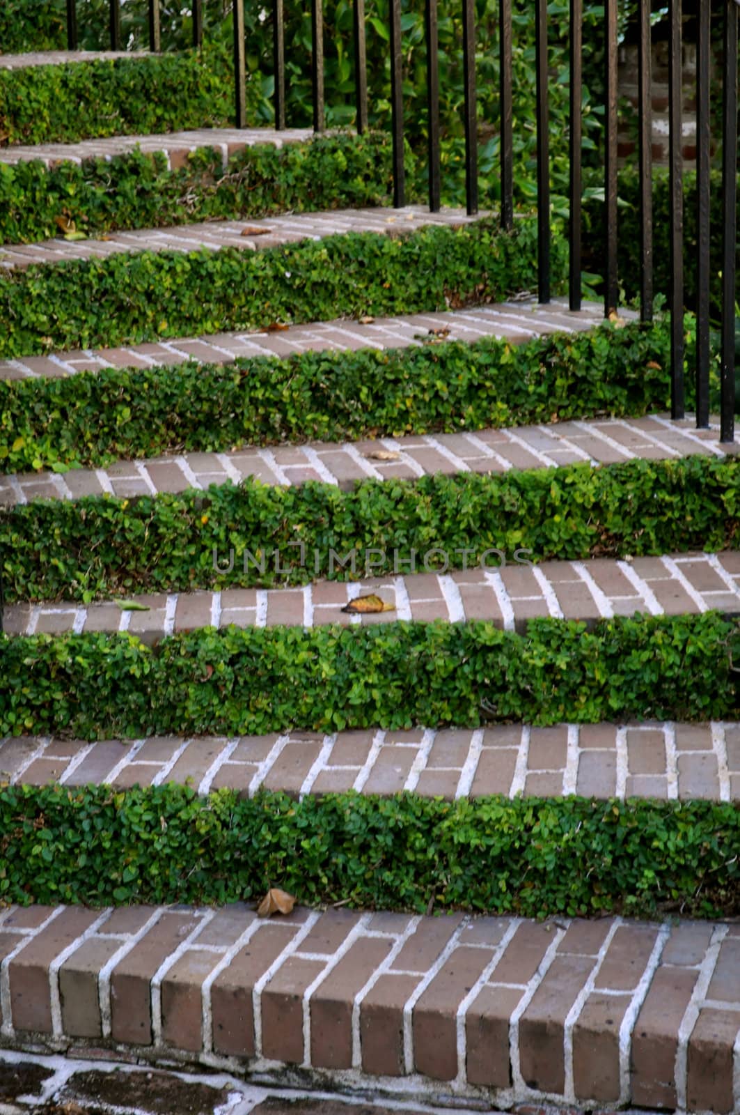 Charleston Steps by RefocusPhoto
