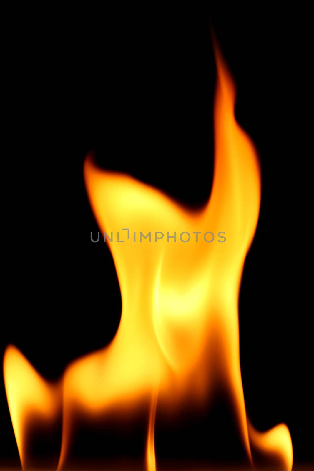 fire on black close up abstract background