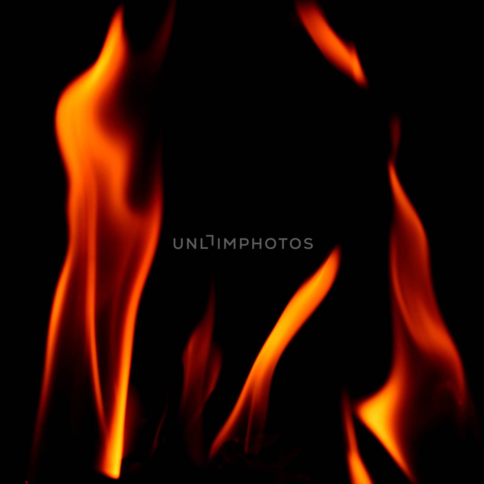 fire flame on black background