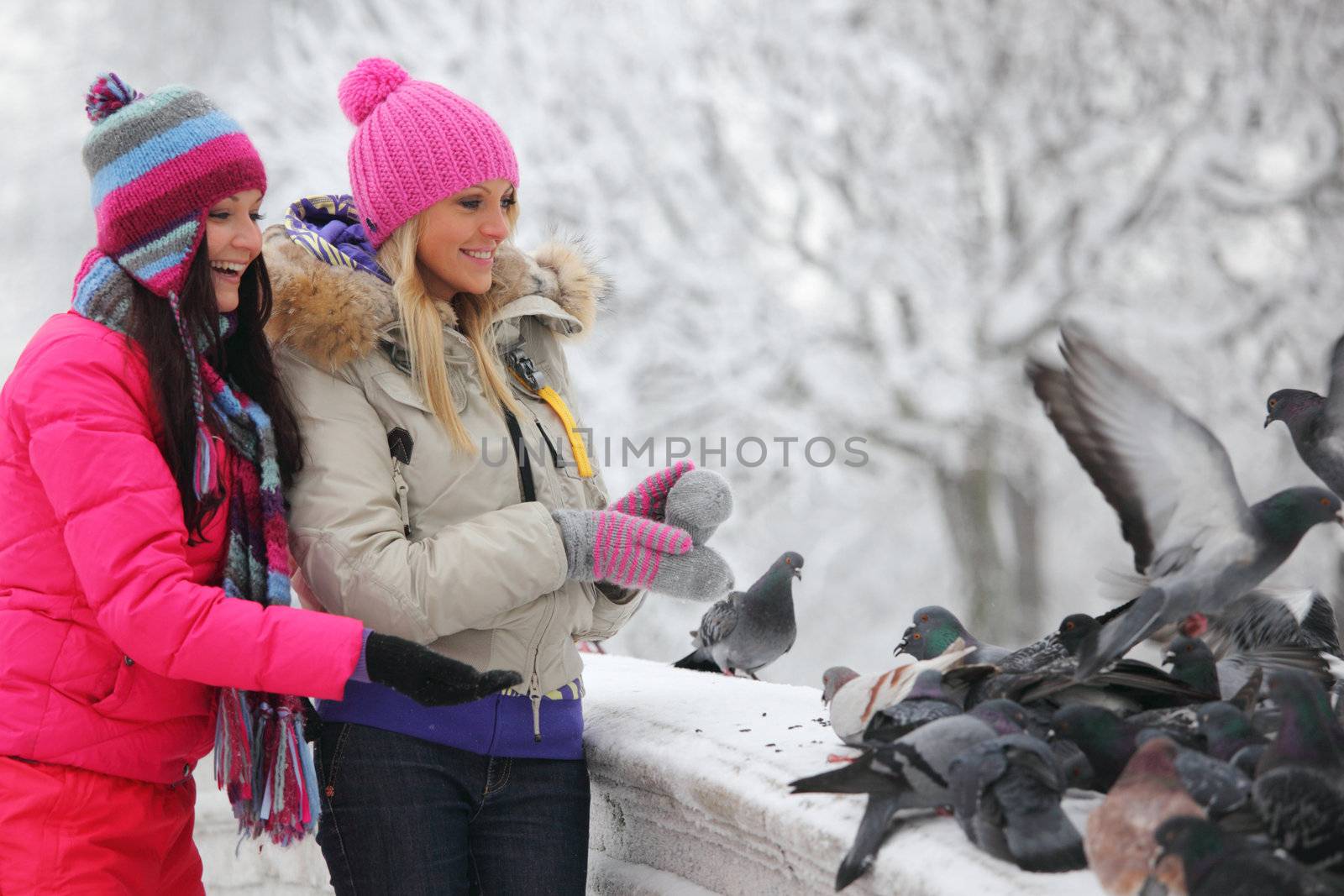 winter women give food to the pigeon