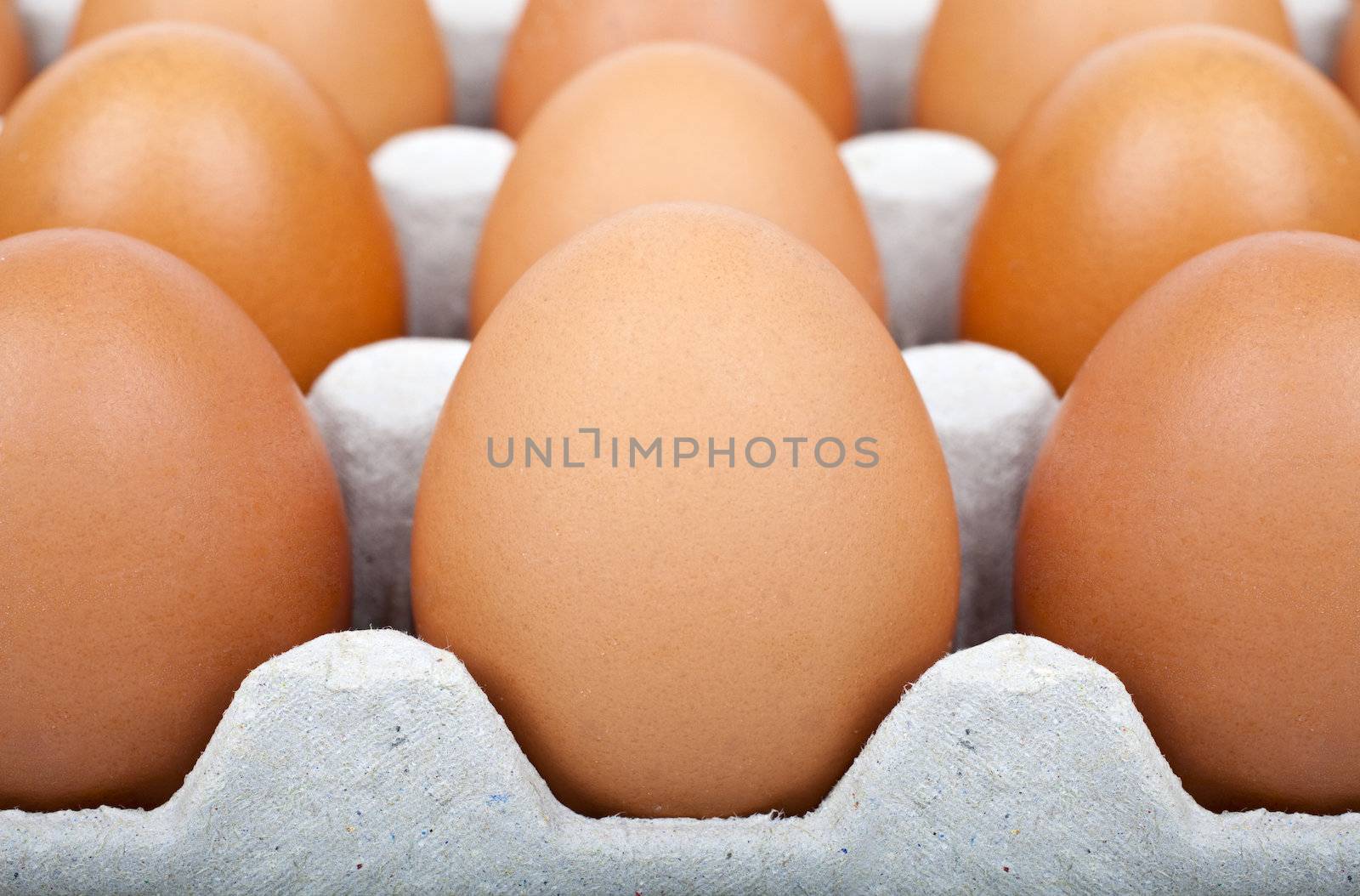 Close-up of eggs in a carton.