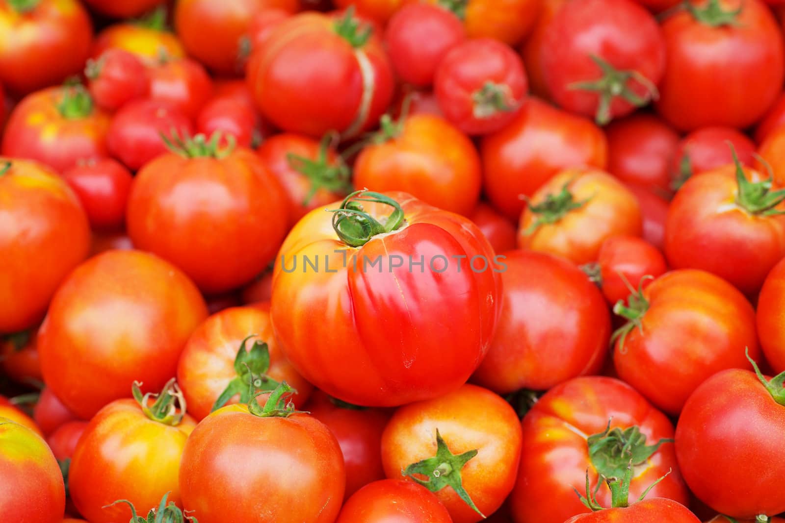 Pile of Red Juicy Tomatoes, one in focus, with softer background at the farmers market
