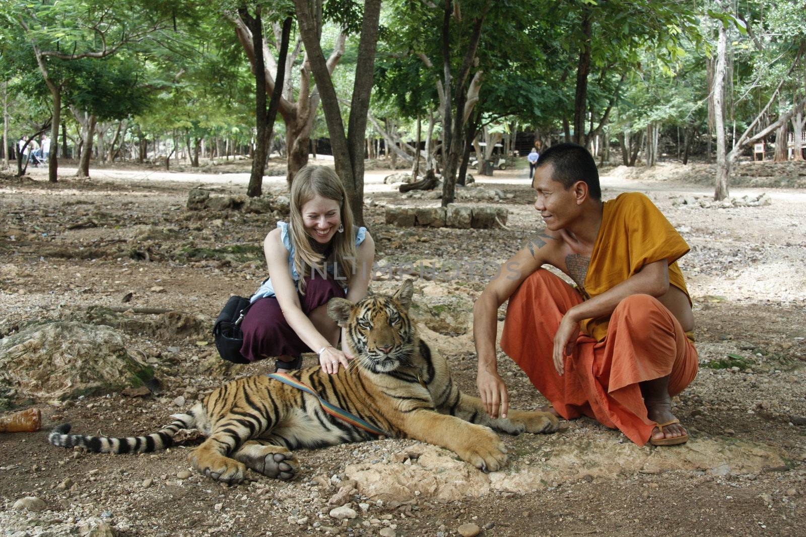 Buddhist monk and young tourist girl with the Tiger in a Tiger Temple, Kanchanaburi province, Thailand