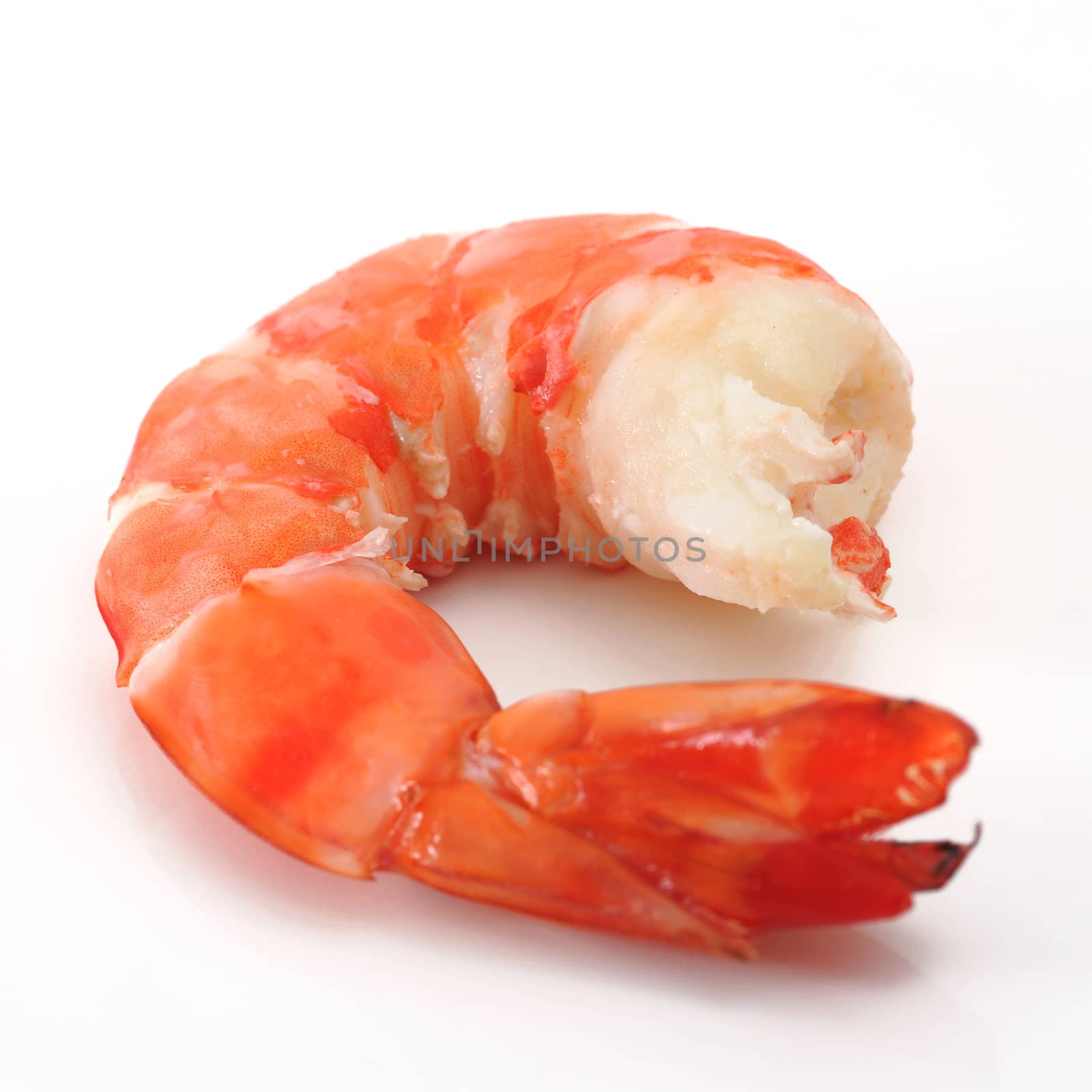 shrimp isolated on white