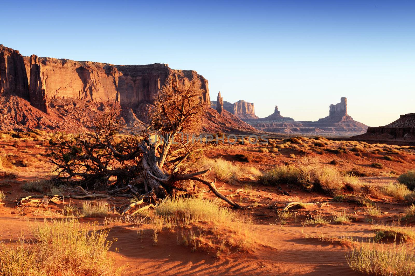 the Monument Valley Tribal Park At Sunrise, Arizona