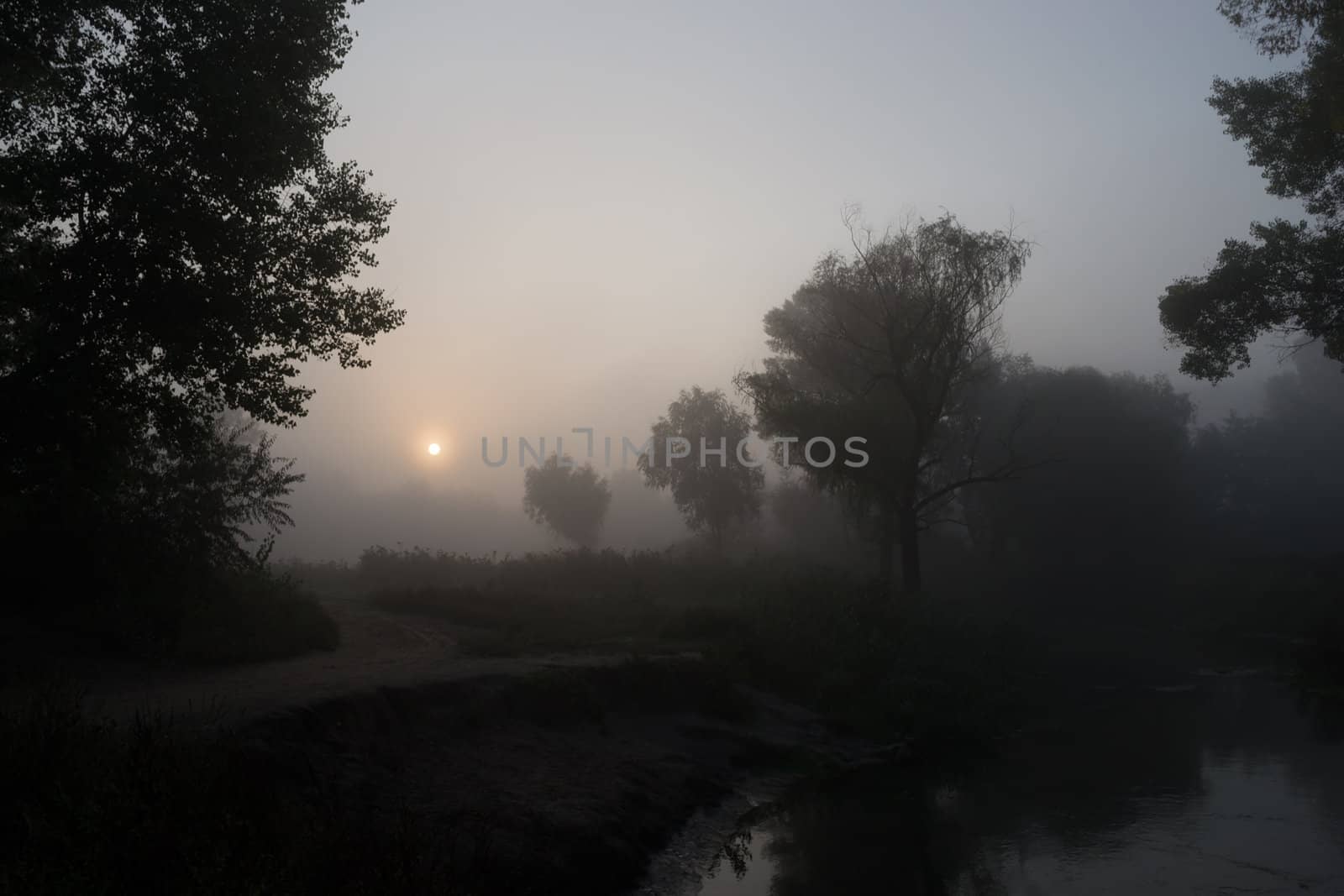 Landscape - early foggy morning on the river.