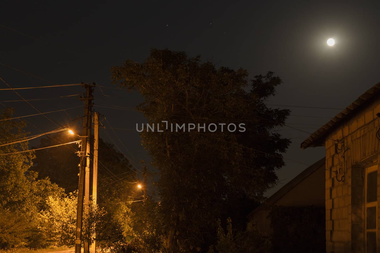Image of a country road with the street lamps at night in clear weather with the moon and stars.