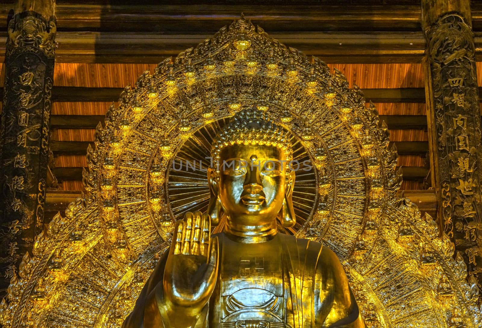 Vietnam Chua Bai Dinh Pagoda: Close up of Giant Golden Buddha. by Claudine