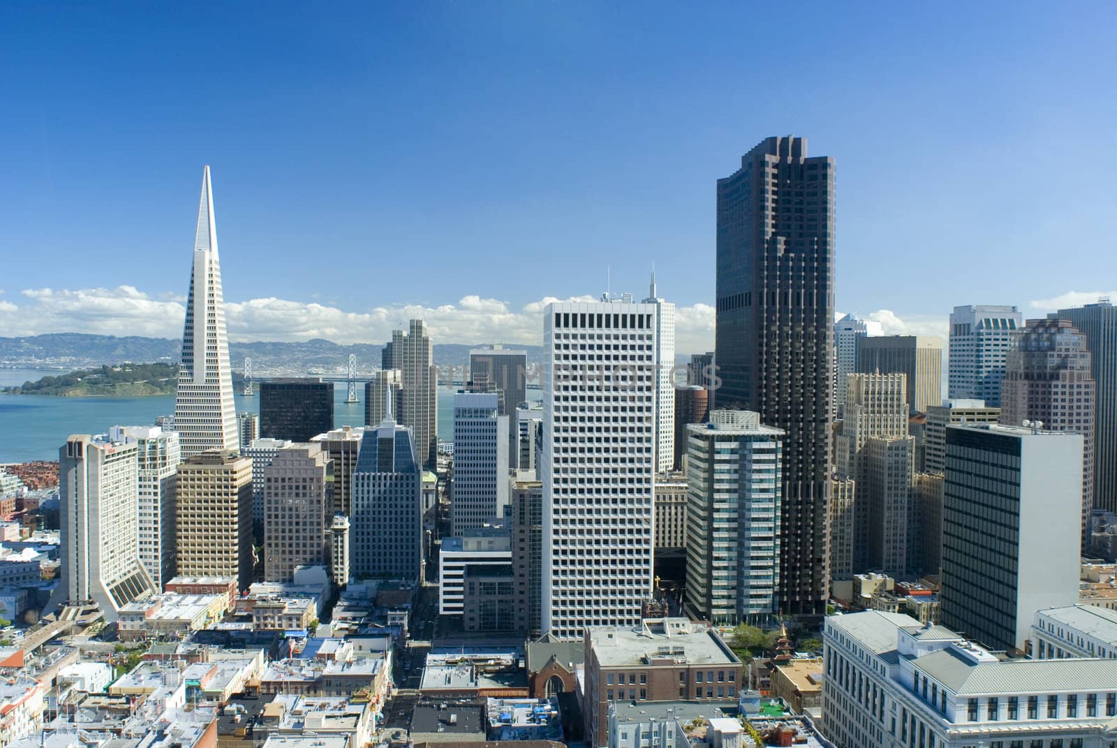 spectacular cityscape of san francisco on a sunny day