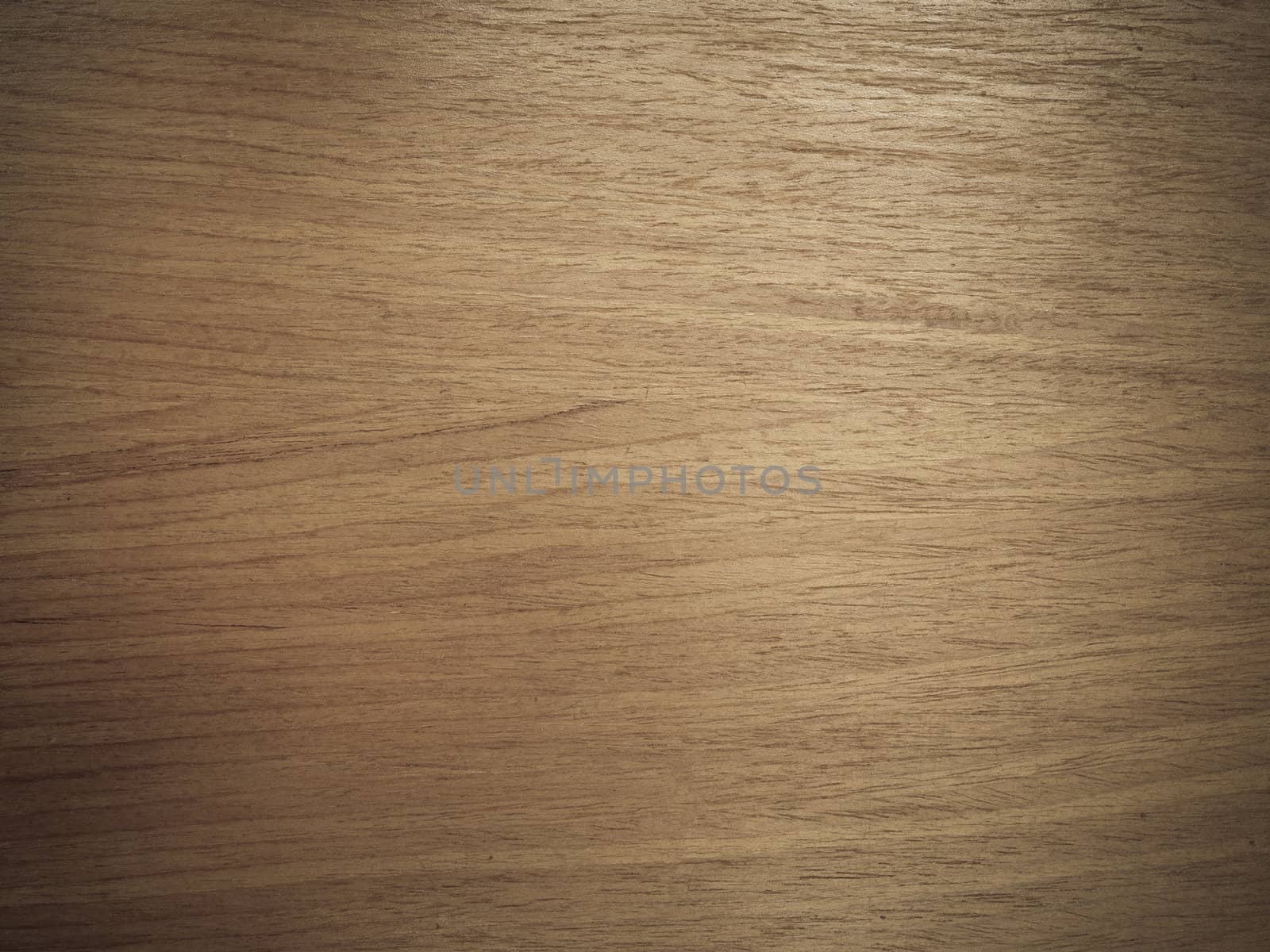 Texture of wood background closeup