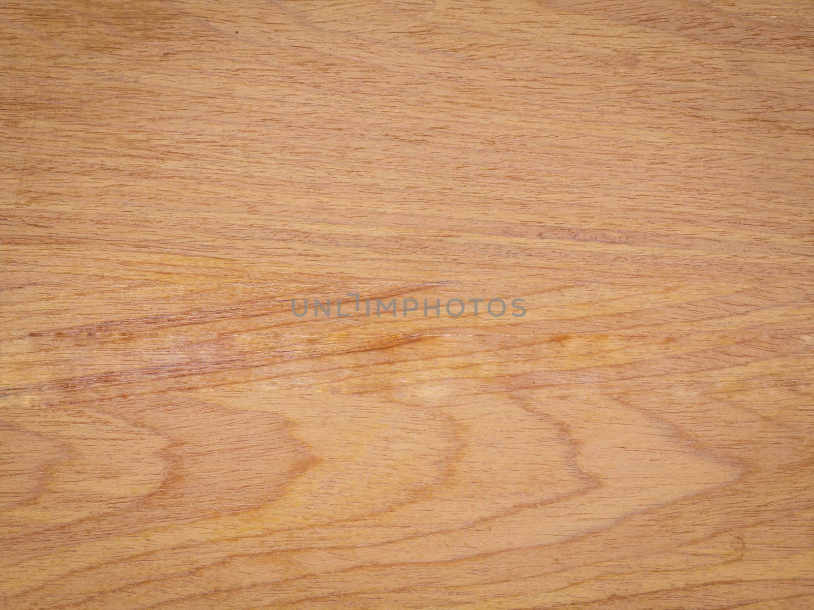 Texture of wood background closeup