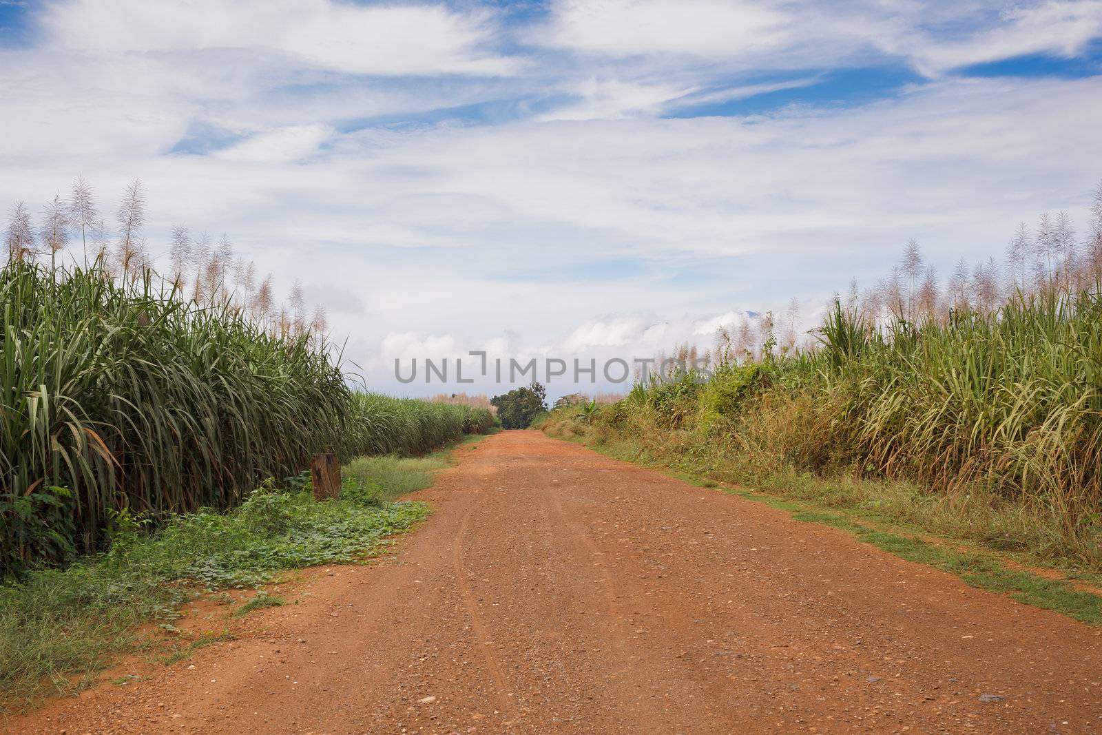 Gravel road in open spaces