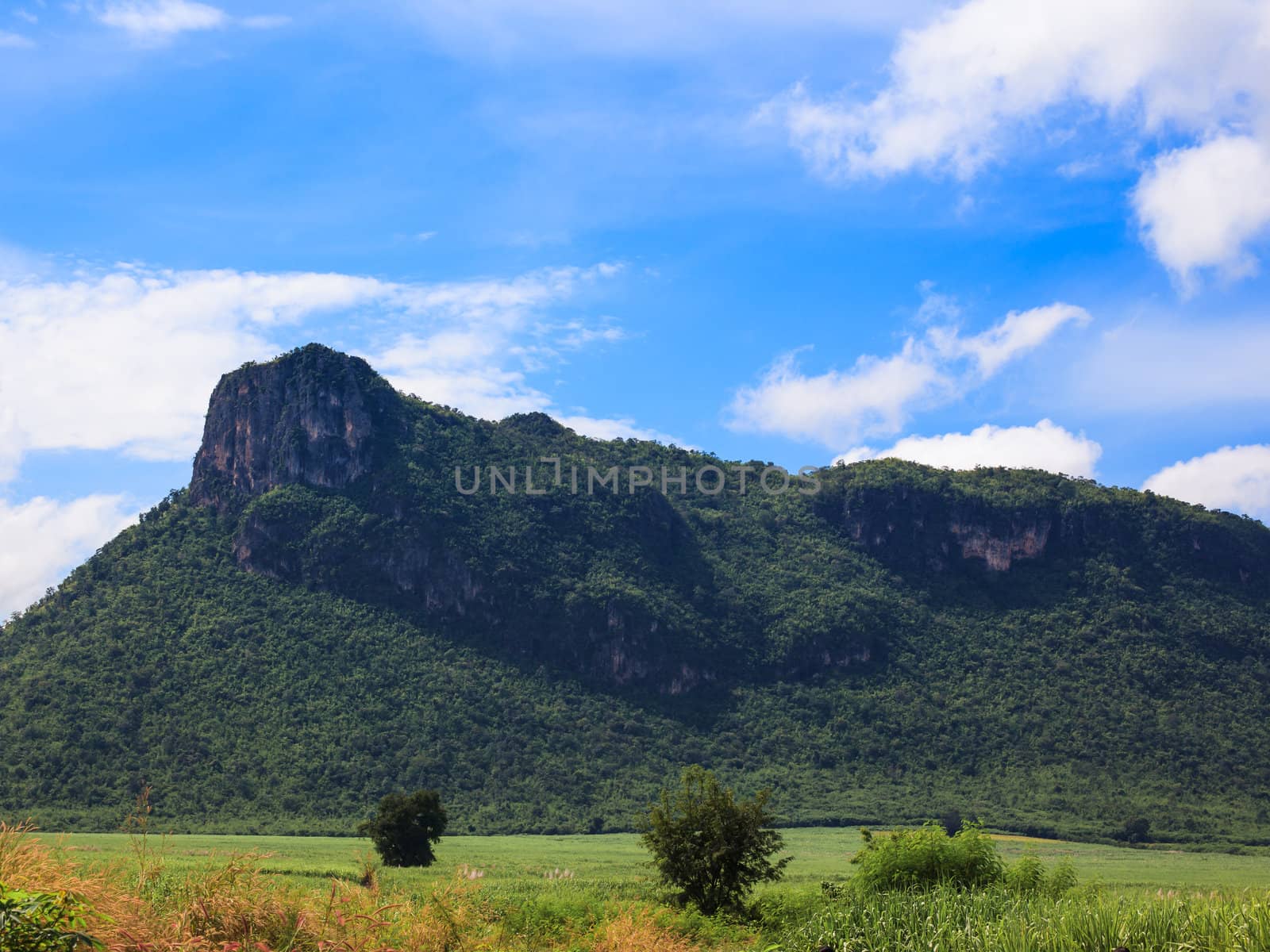 Summer landscape in mountains and the dark blue sky with clouds
