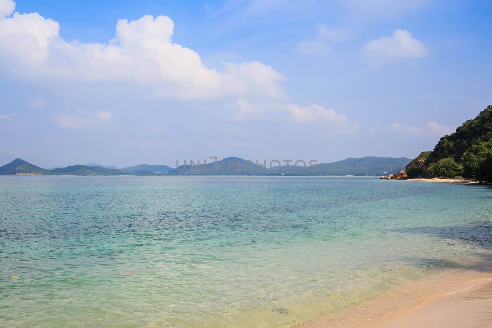beach and tropical sea