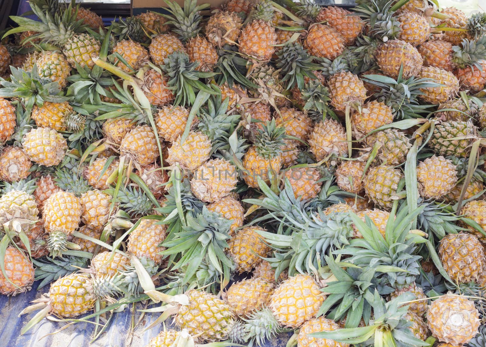Pile of pineapples