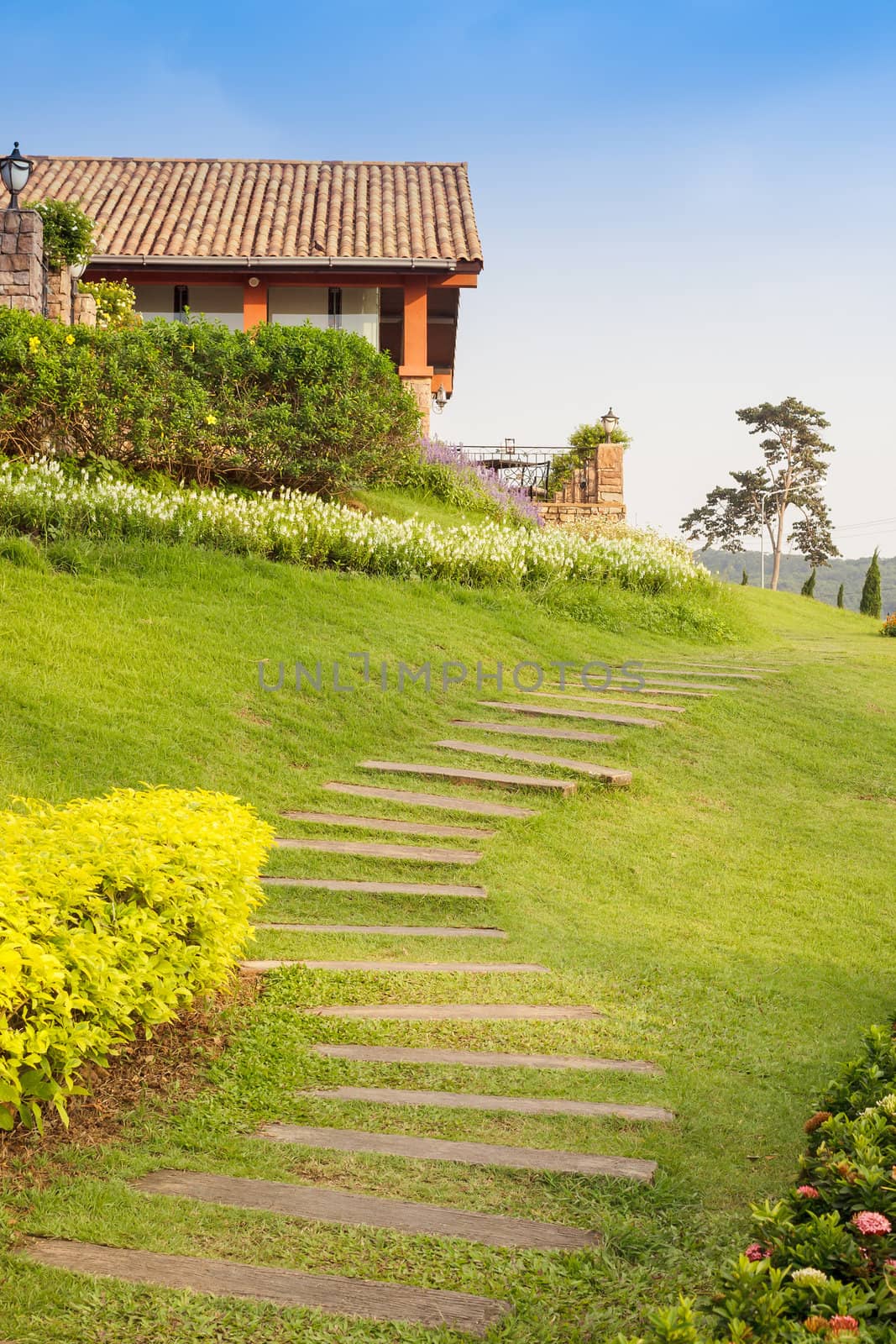 Stone walkway