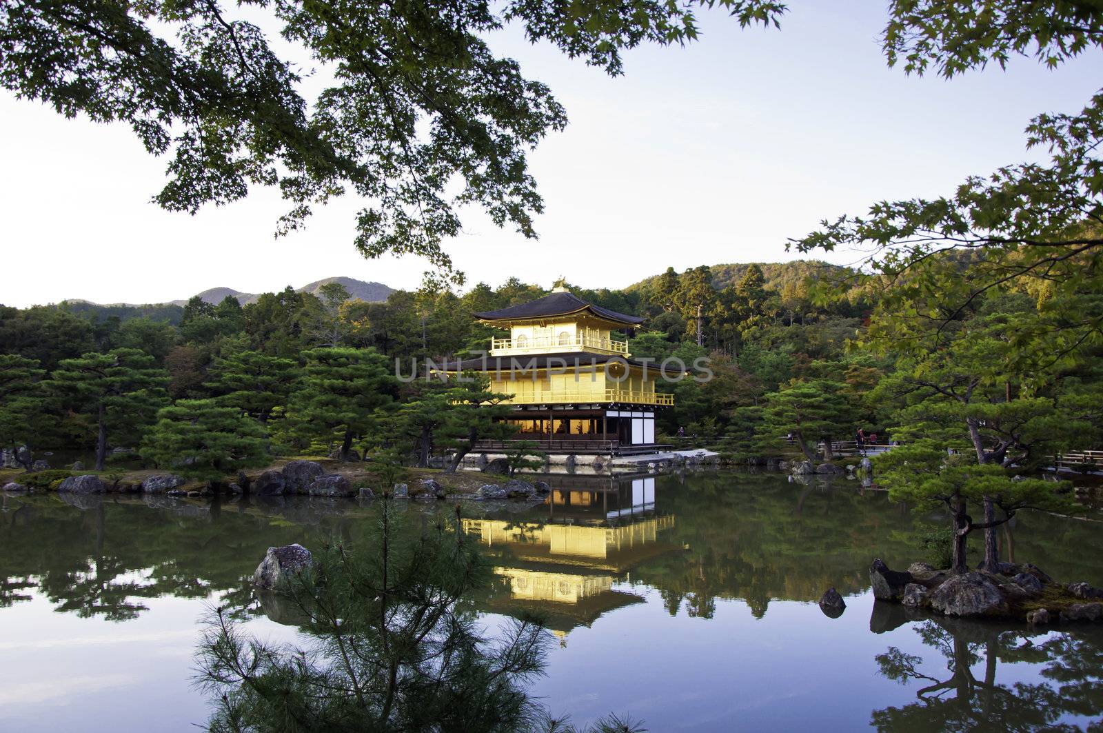 Kinkakuji in autumn season - the famous Golden Pavilion at Kyoto, Japan. 