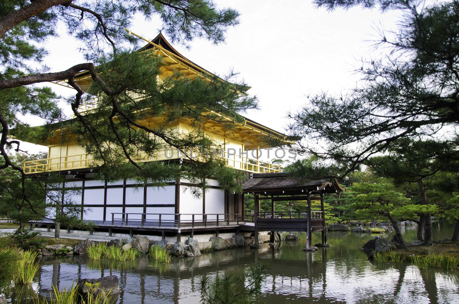 Kinkakuji (Golden Pavilion) is a Zen temple in northern Kyoto whose top two floors are completely covered in gold leaf. 