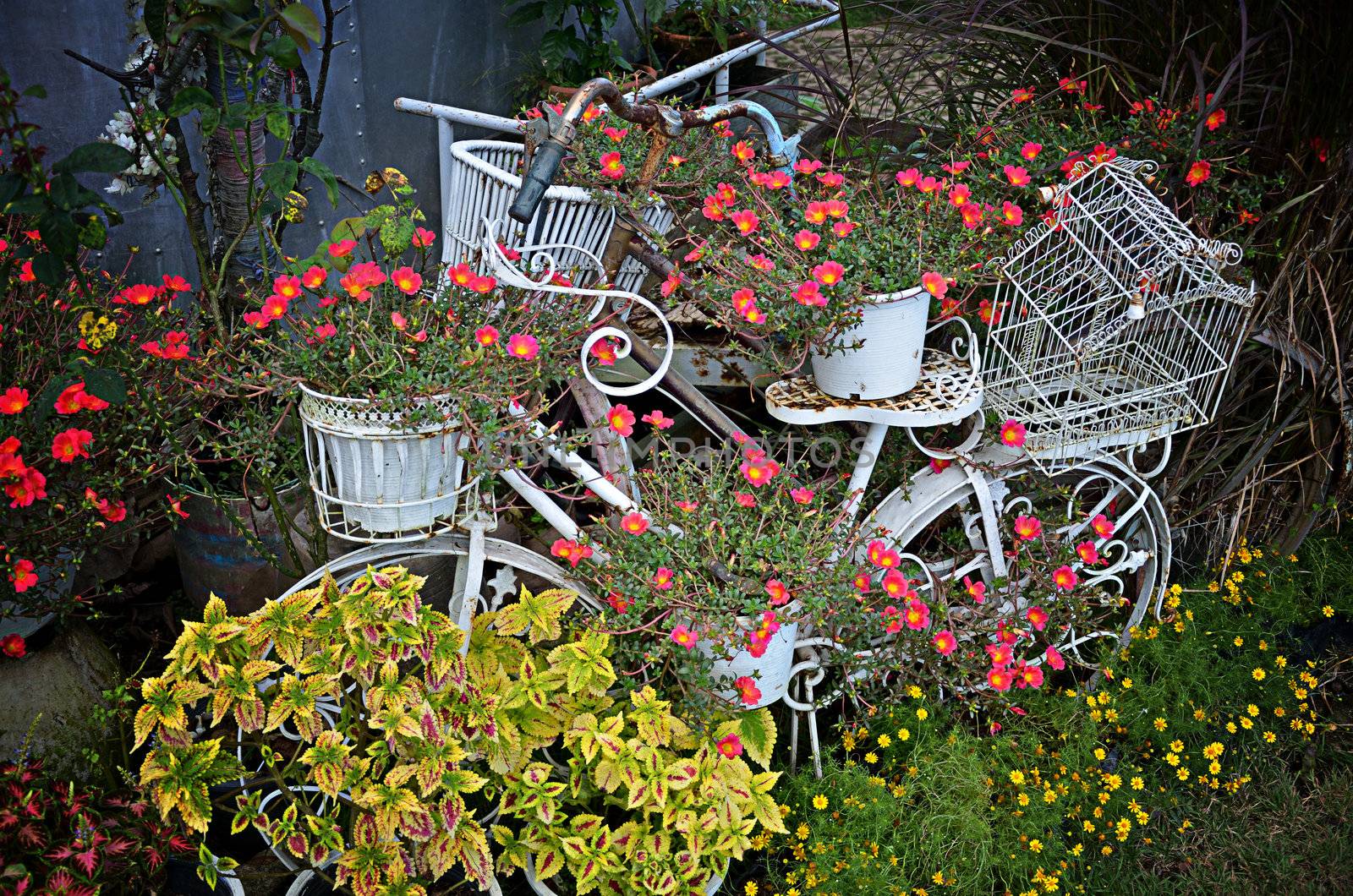 Vintage bicycle with flower decorations