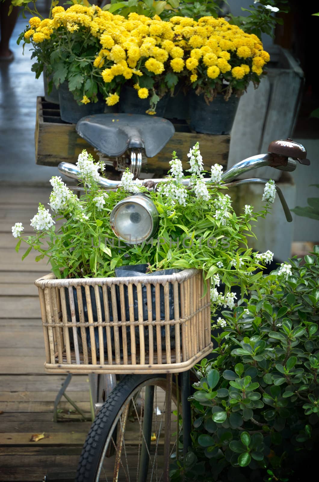 Vintage bicycle with flower in basket by pixbox77