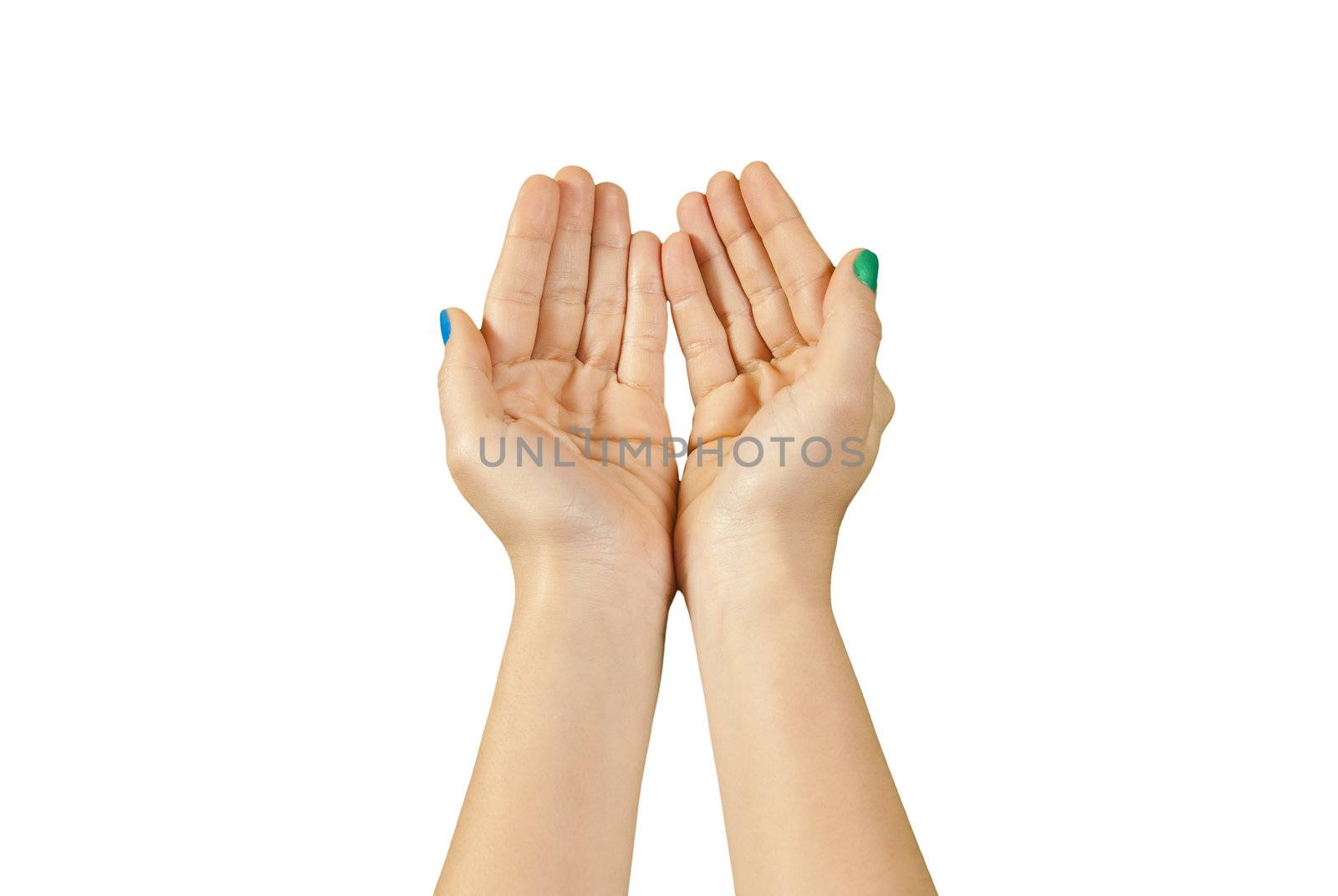 Beautiful woman hands with manicure isolated
