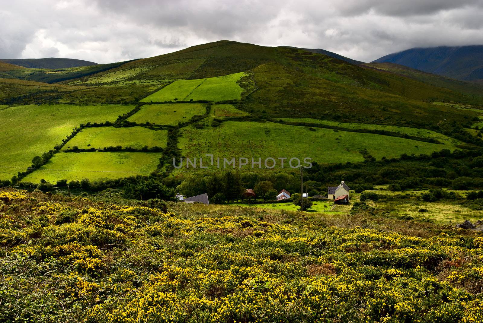 beautiful green mountain landscape on Dingle peninsula, Ireland by matthi