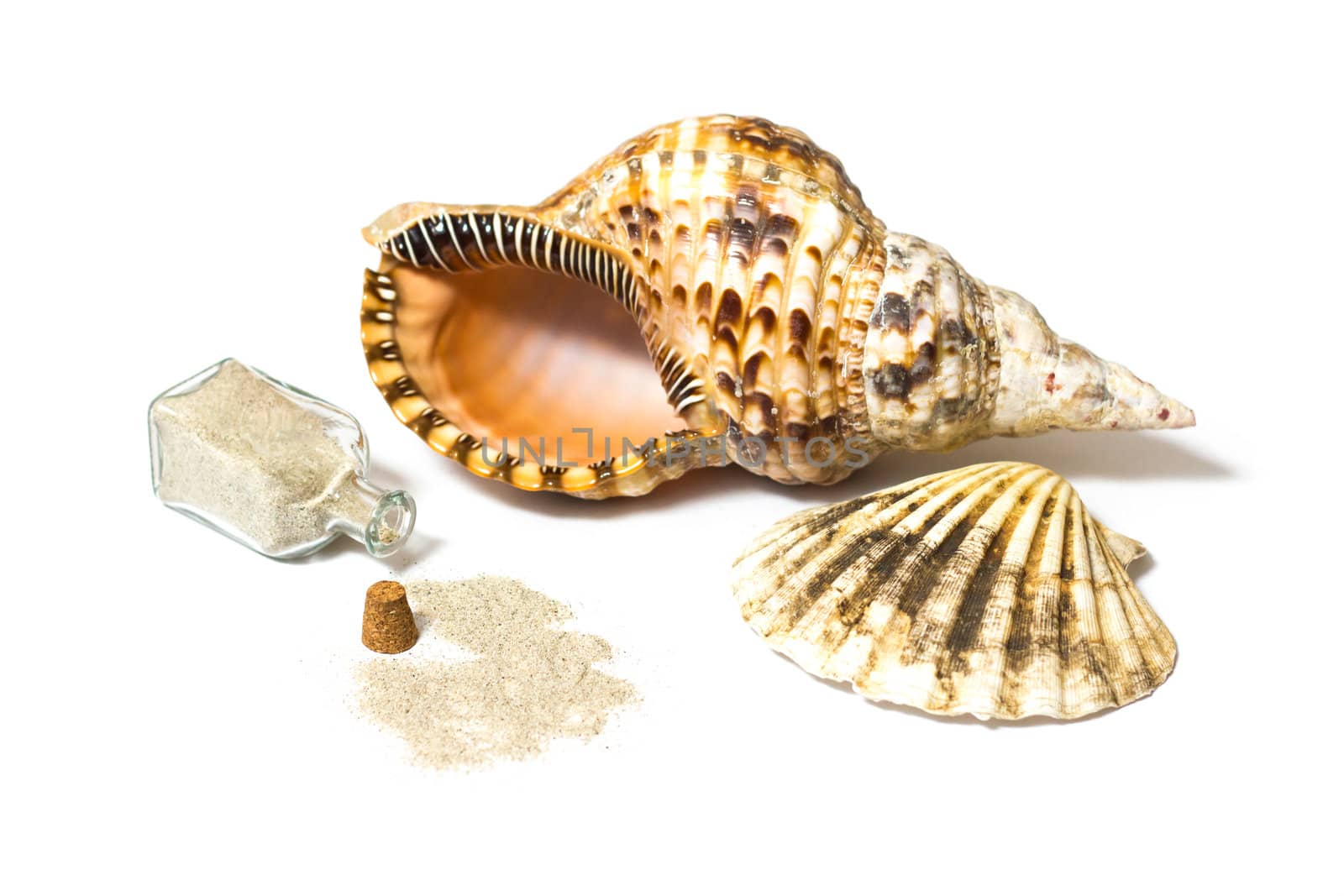 Marine sea shells and open sand bottle composition in a studio on white background
