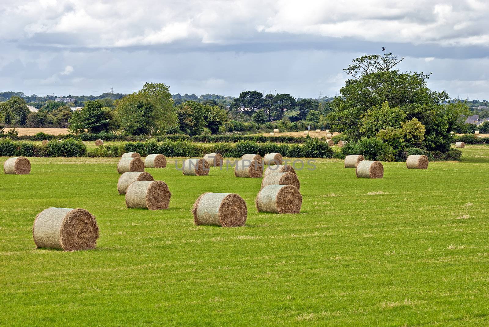 straw bales in irish countryside