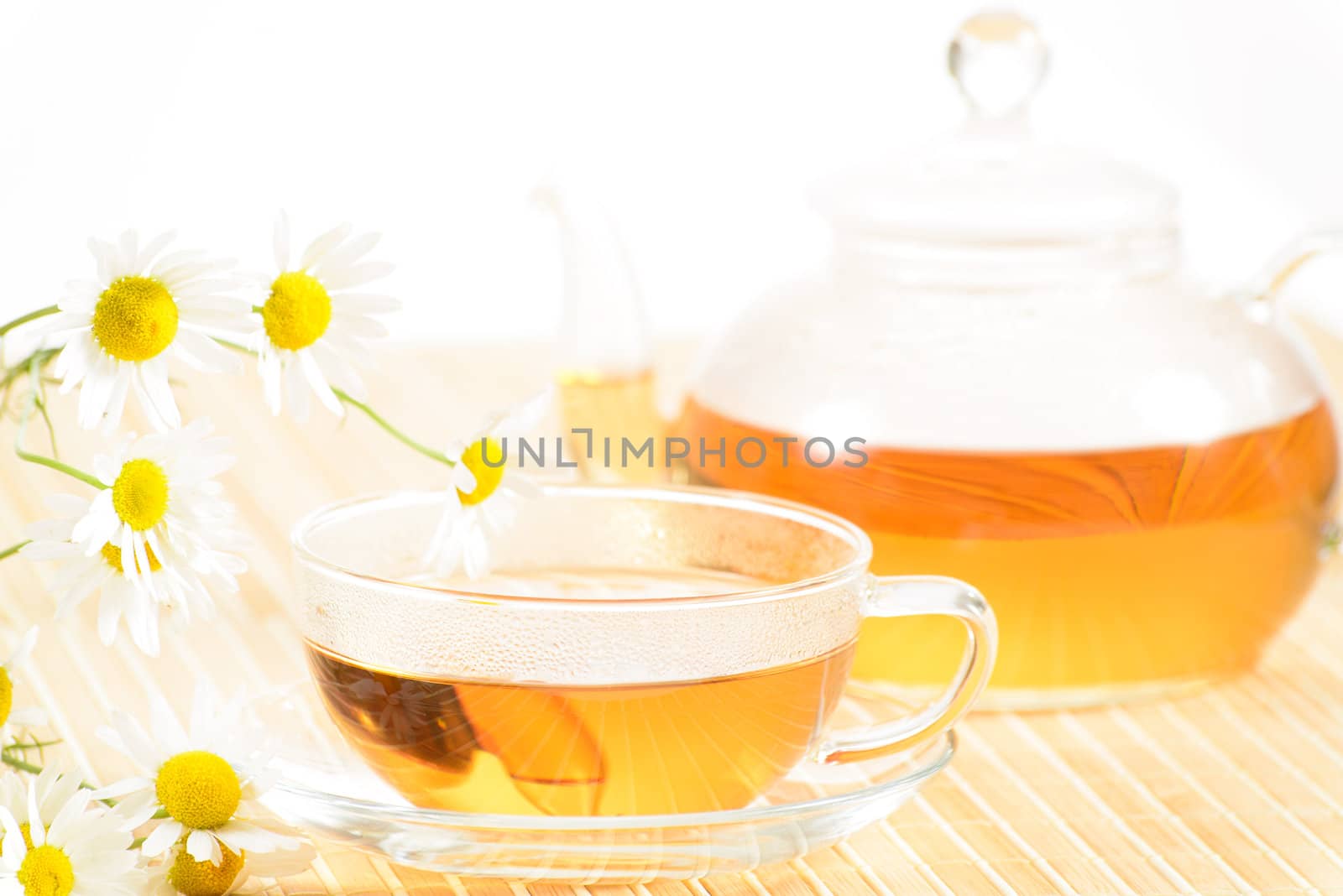 A teacup and a teapot with herbal chamomile tea