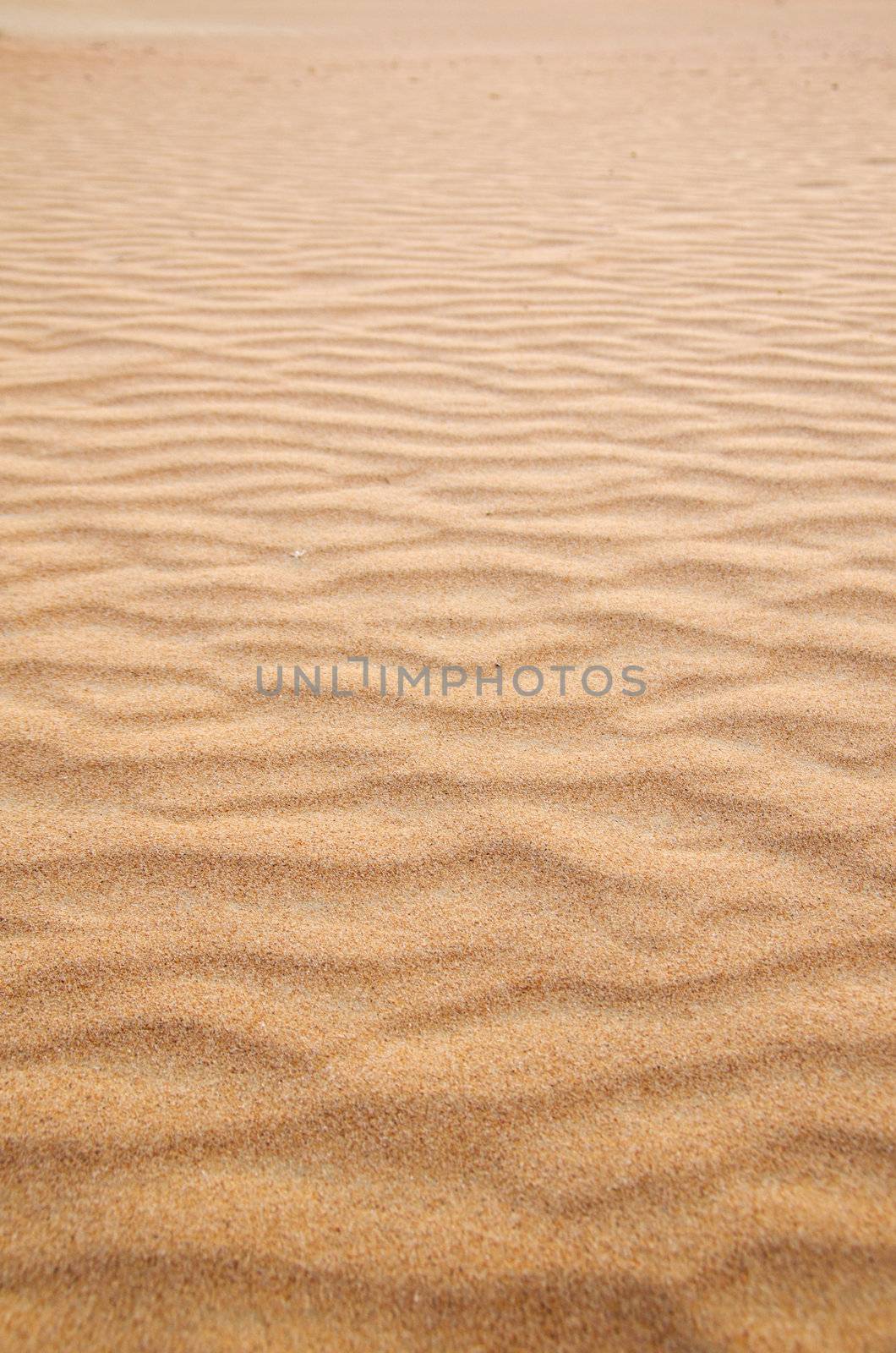 sand texture by Pakhnyushchyy