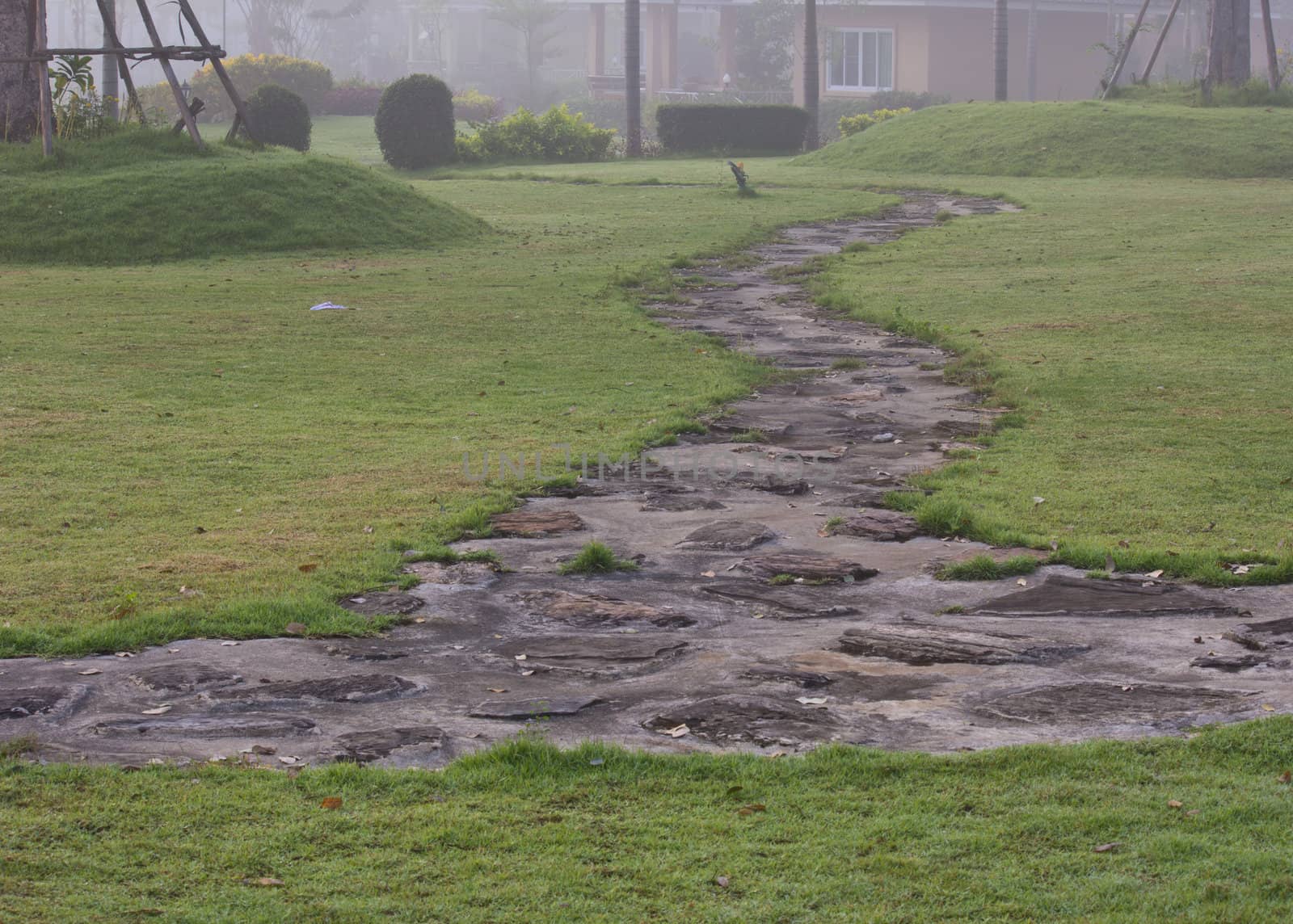 rock path in the resort