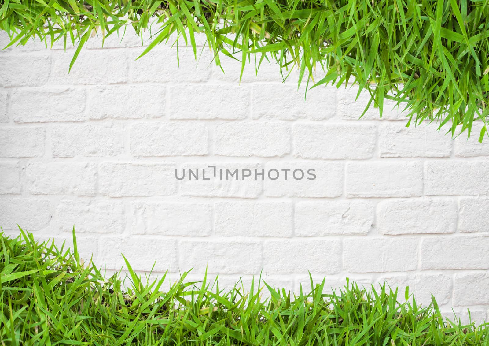 green grass on wall