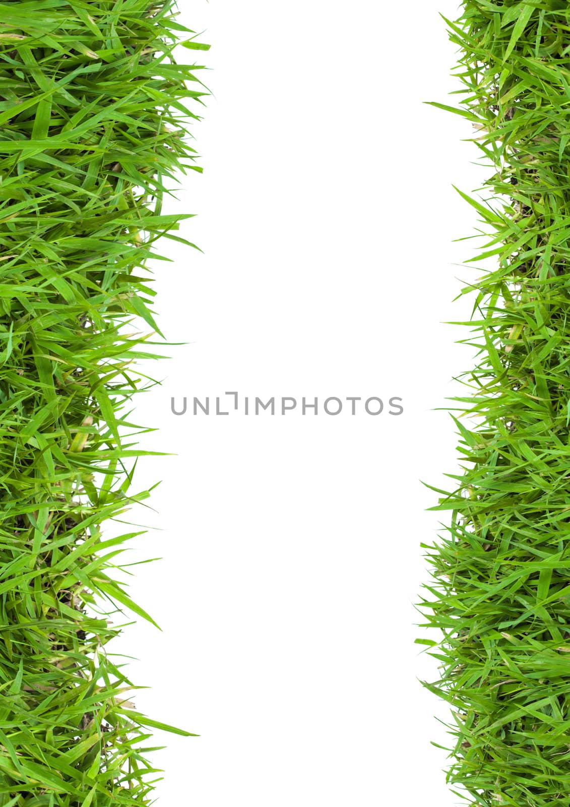 green grass  by FrameAngel