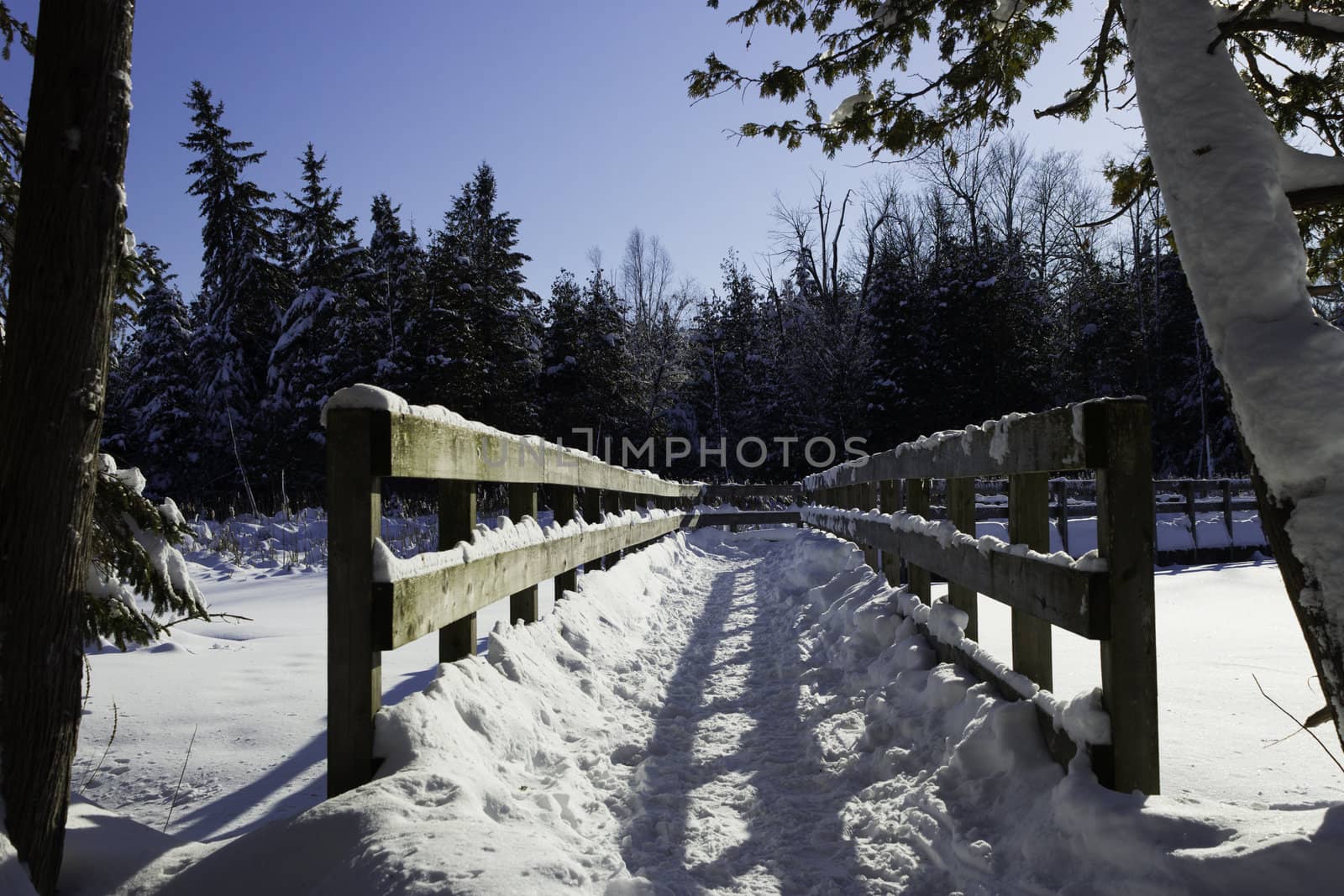 winter Scene