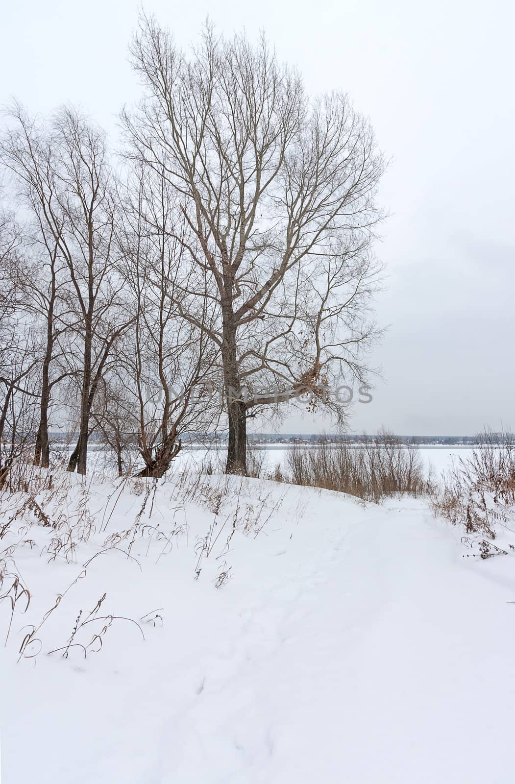 Beautiful winter landscape against blue sky, Russia.