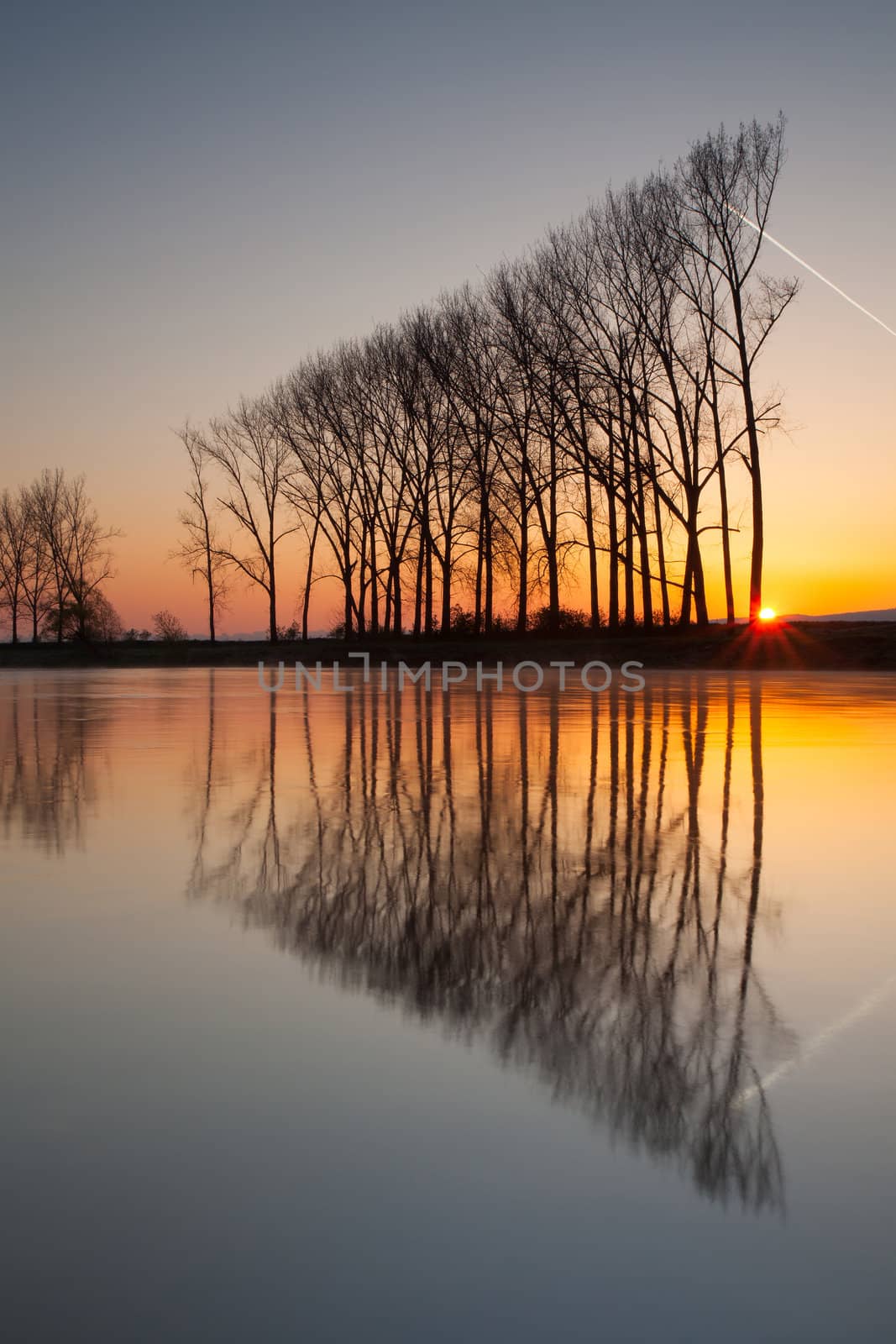 Symmetry reflection on the autumn river