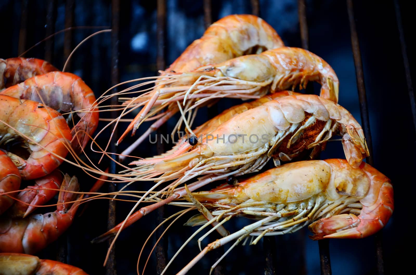 Grilled shrimp, Seafood Barbecued concept