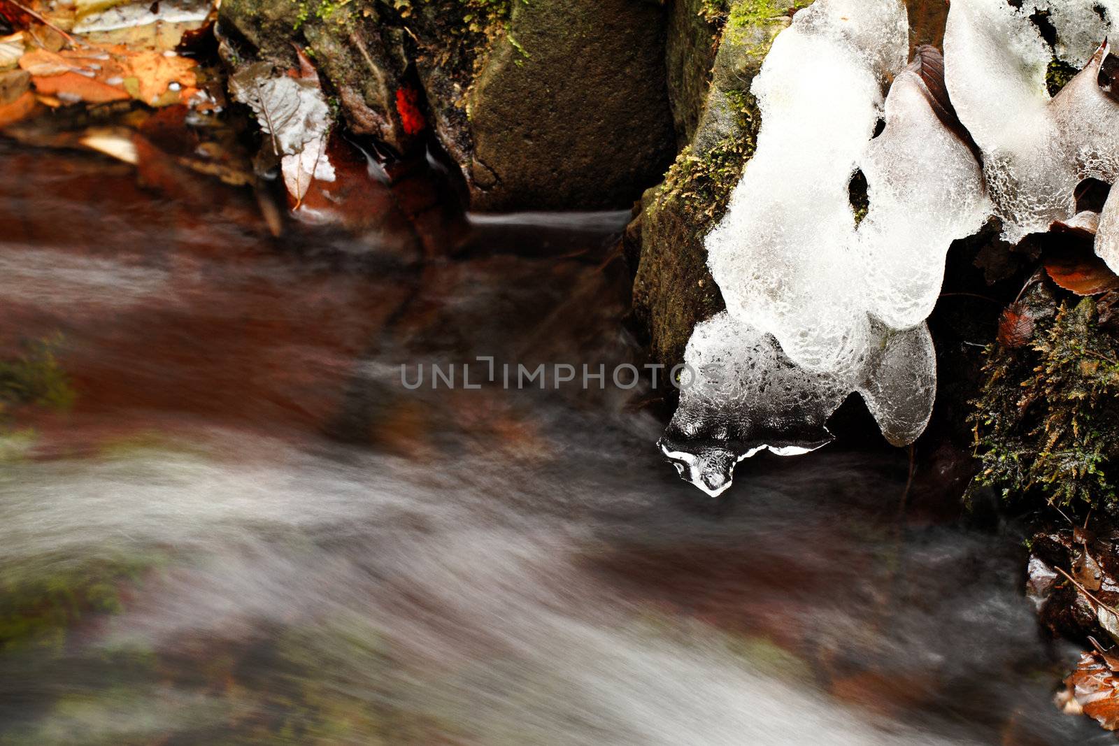 Water on the rocks into the forest