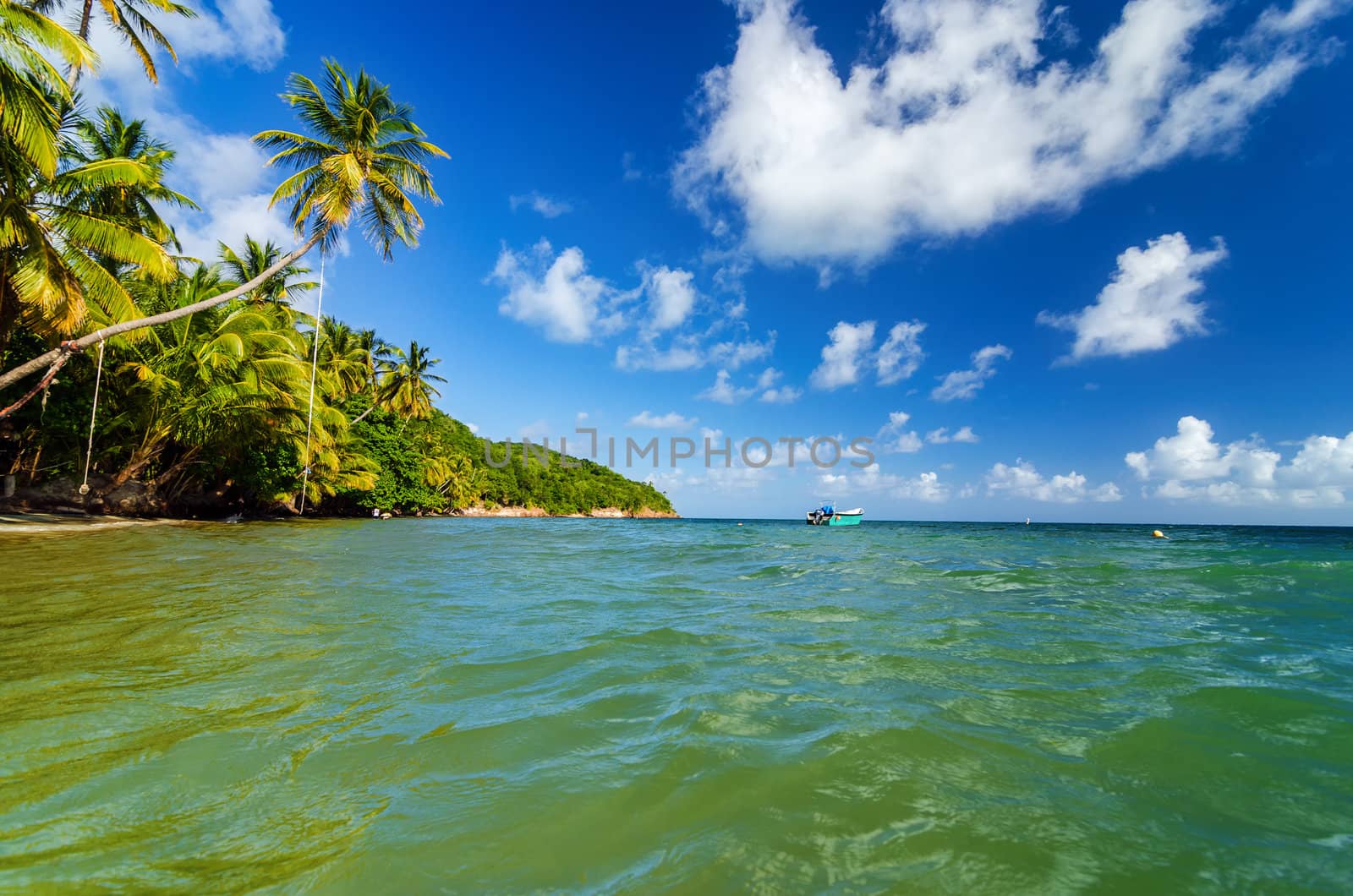 View of Caribbean Sea and palm tree lined shore in San Andres y Providencia, Colombia