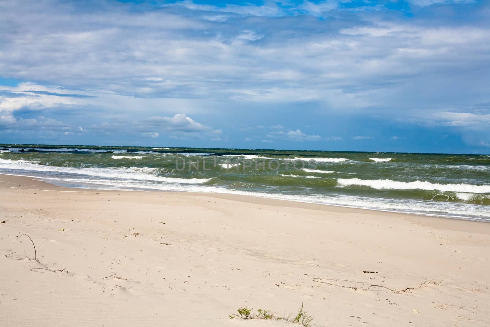 Baltic sea near Curonian Spit
