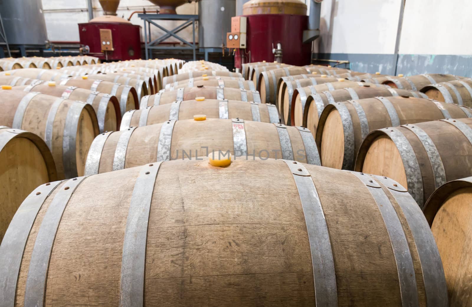 Wine cellar with the barrique barrels in wineries
