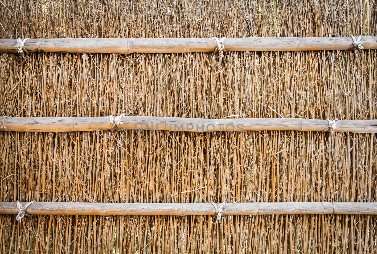 many branches into the wall japanese style