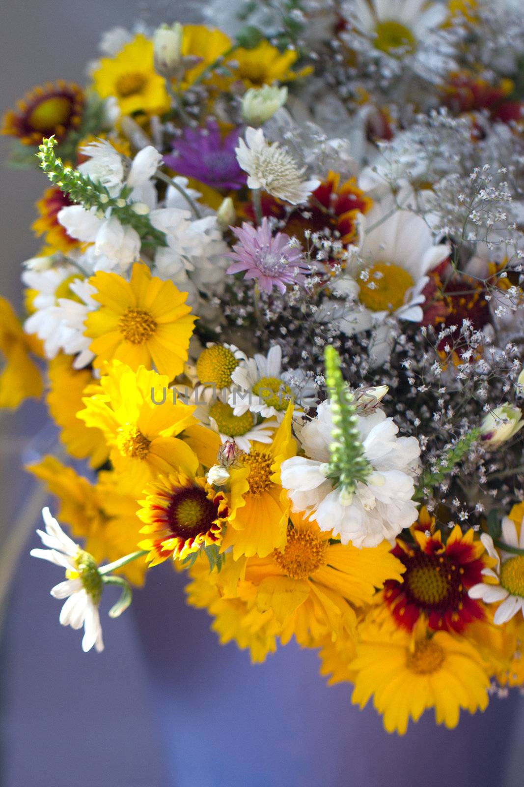 Beautiful bouquet of wild flowers in a purple bucket