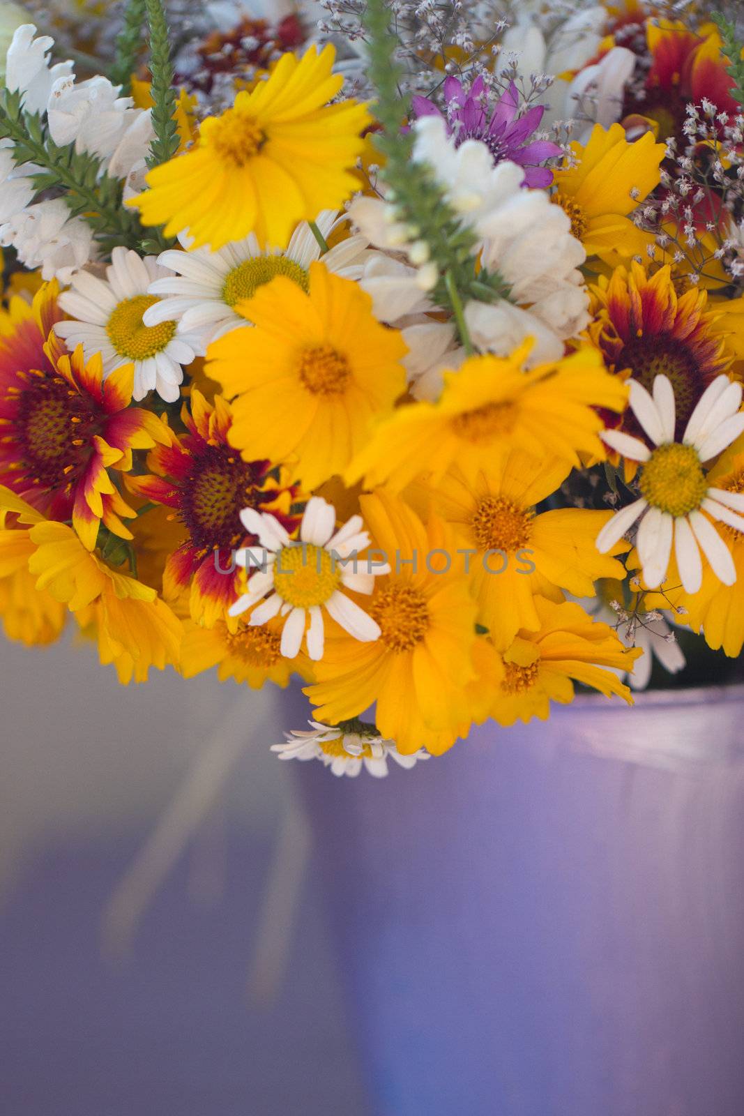 Beautiful bouquet of wild flowers in a purple bucket