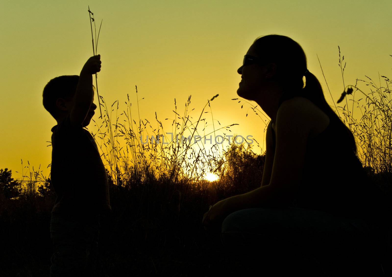 child and woman silhouettes in a sunset  pin field by doble.d