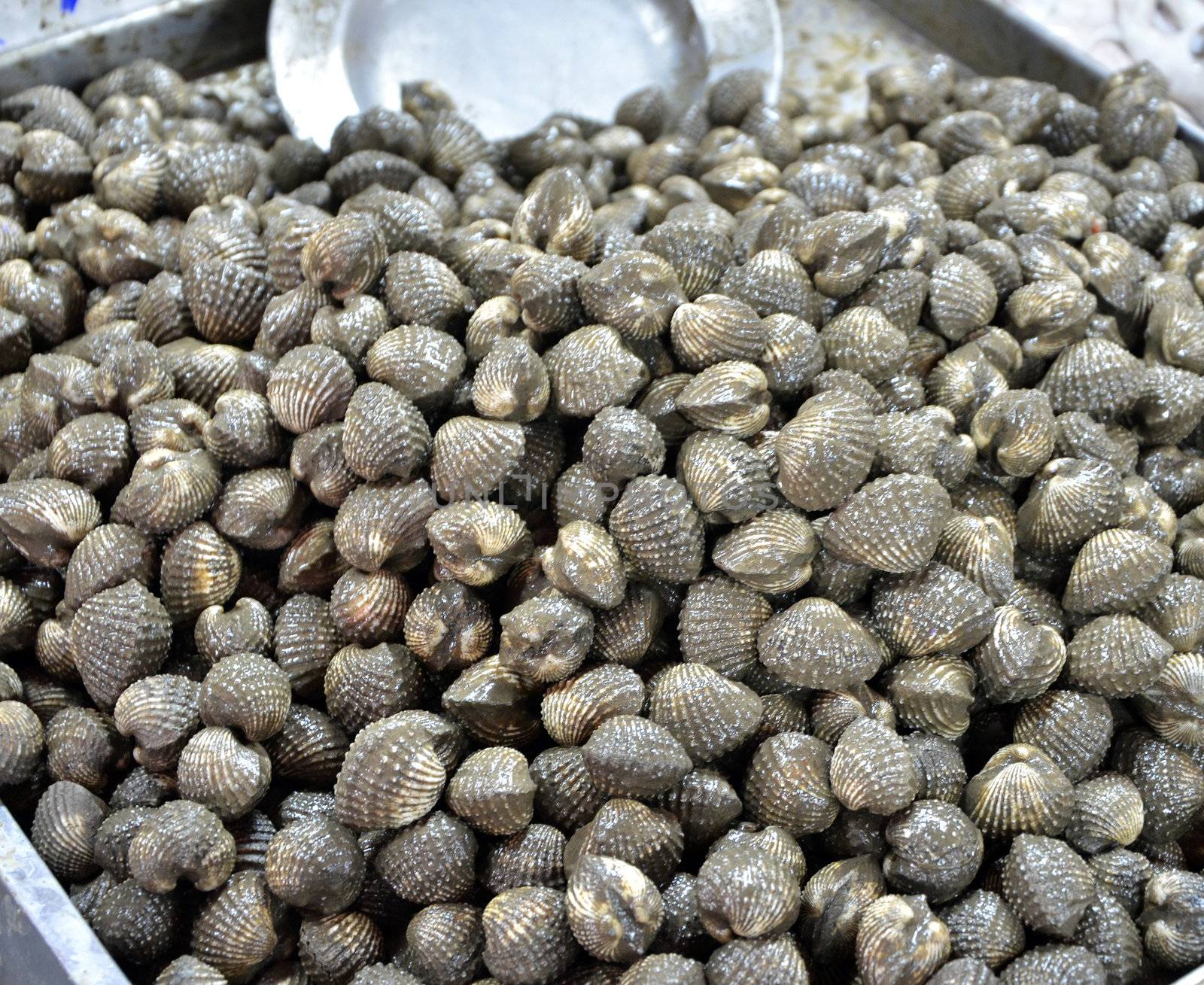 Fresh cockles for sale at a market