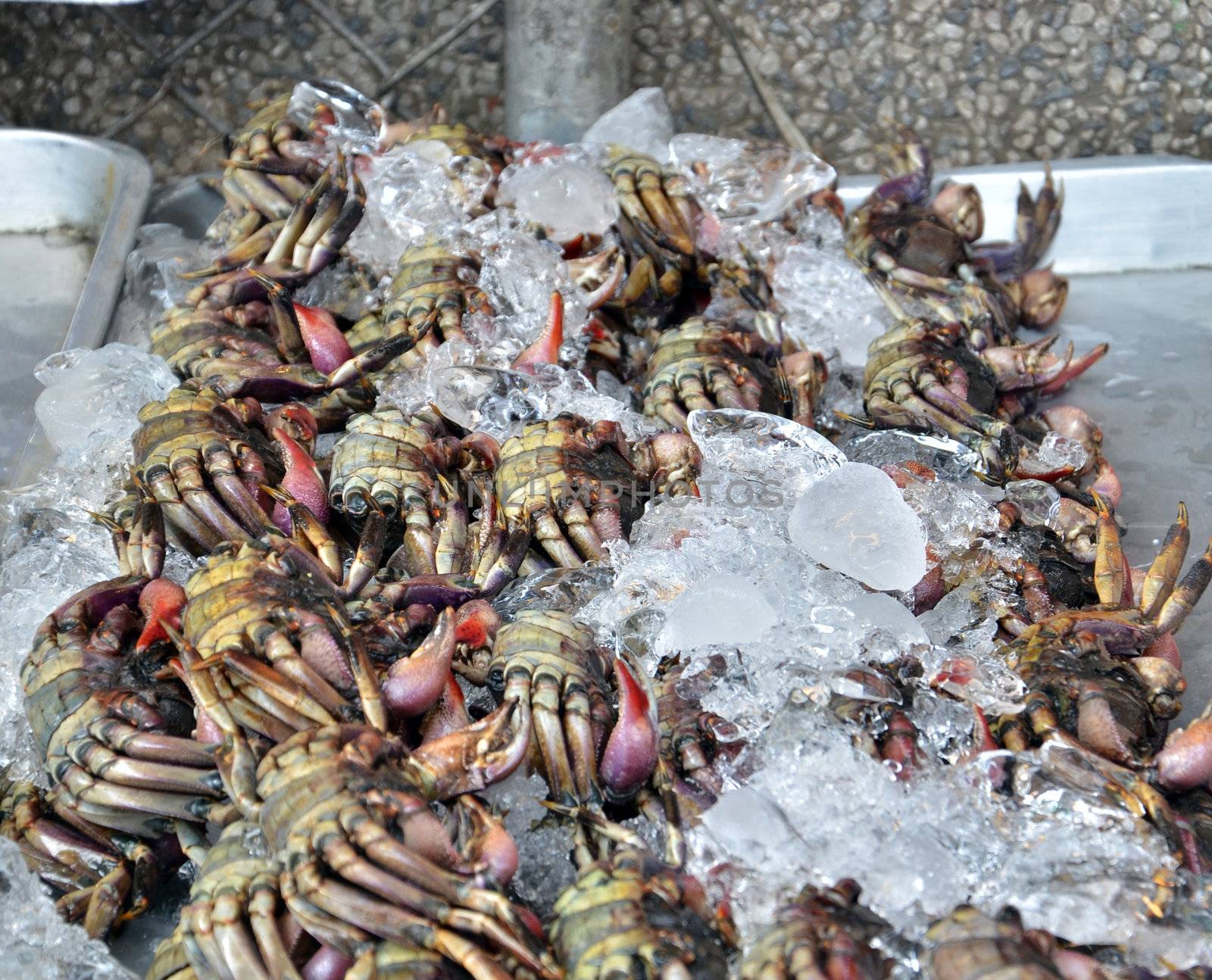 Crab in market  by siraanamwong